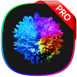 Flowers Pro 2022 Crack + Keygen key Full Free Download 