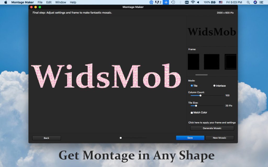 WidsMob Montage 2.6.0.86 Crack + License Number {Latest} 2022