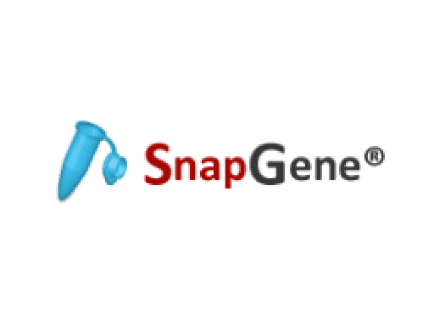 SnapGene 6.1.2 Crack With (100% Working) Serial Key [2023]